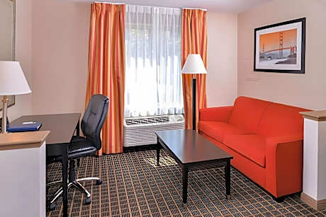 1 Queen Bed Studio Suite Nonsmoking