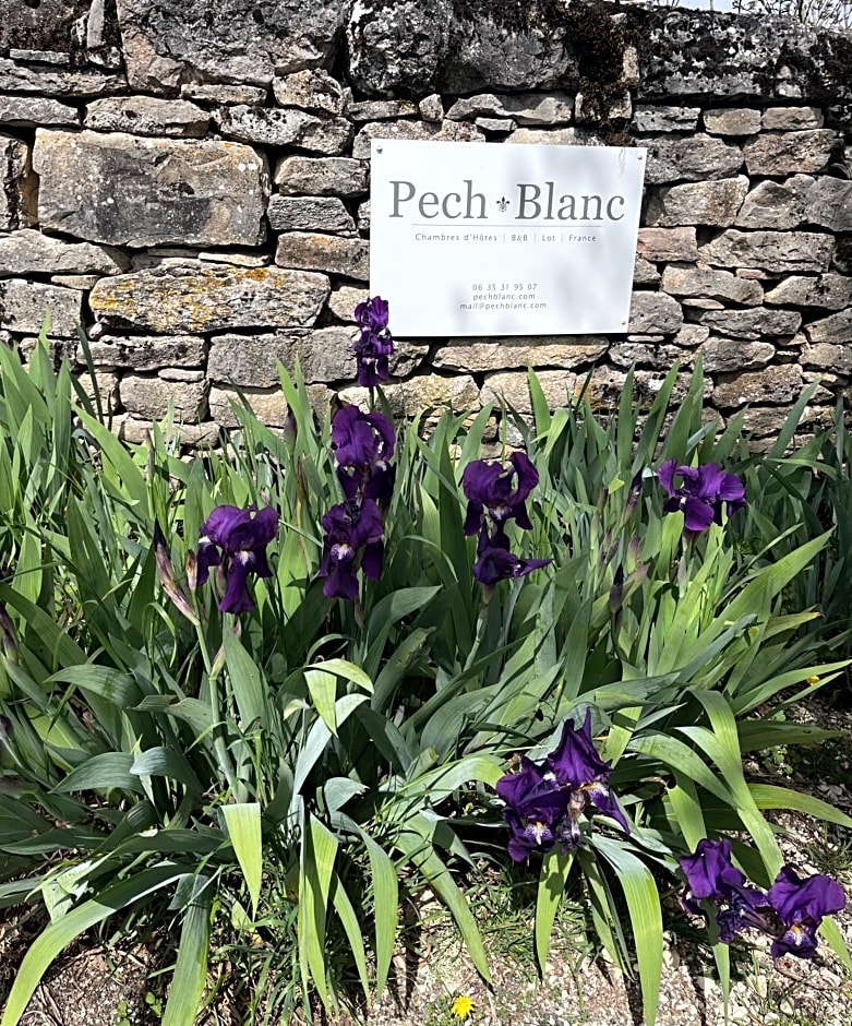 Chambres d'hôtes Pech Blanc