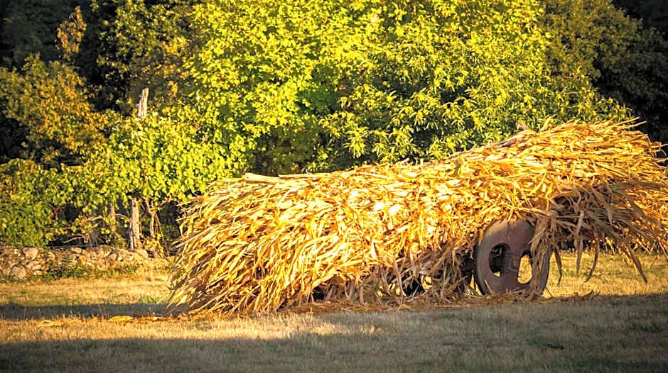 Boticas Parque Natur Houses