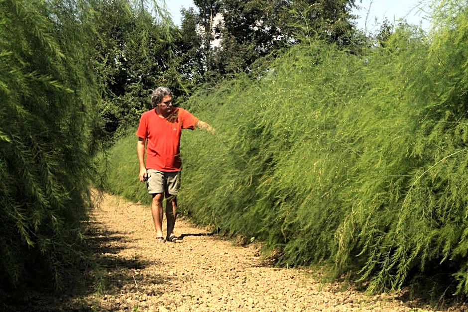 Hotel und Freizeitanlage Rauch-Hof