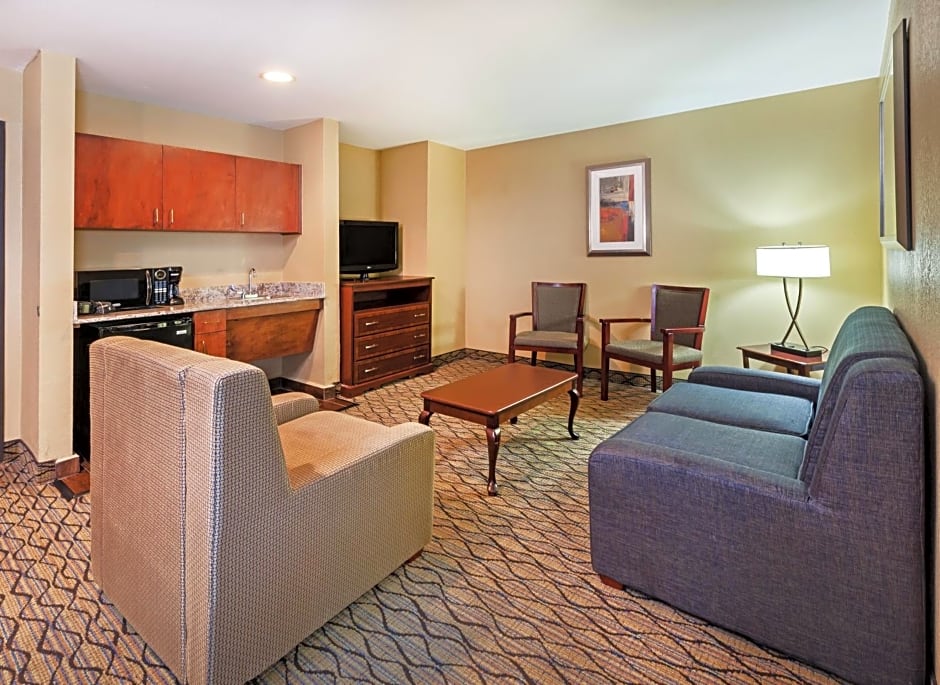 Holiday Inn Express Hotel & Suites Houston-Downtown Convention Center