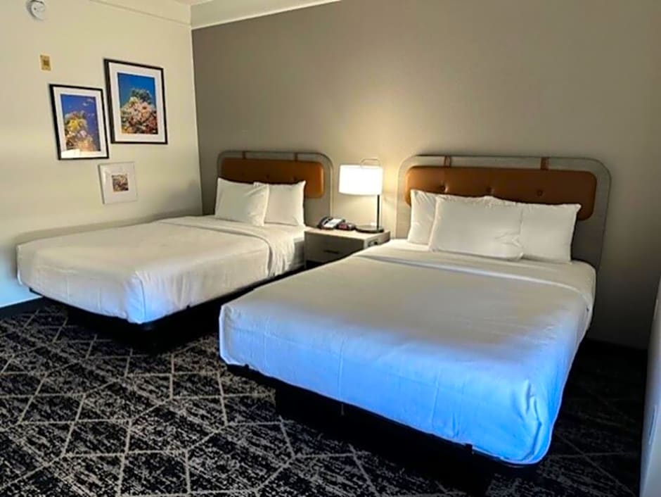La Quinta Inn & Suites by Wyndham Houston Bush Iah South