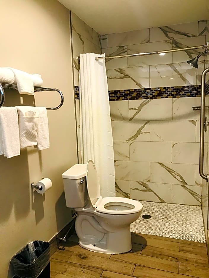 Summit Inn - Houston Medical Center - NRG Park