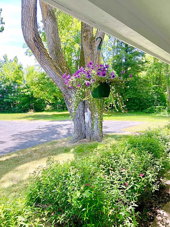 Elk Rapids Lakeshore Inn