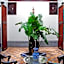Algilà Fes Riad Medina Charme Hotel