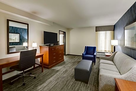 Deluxe King Suite