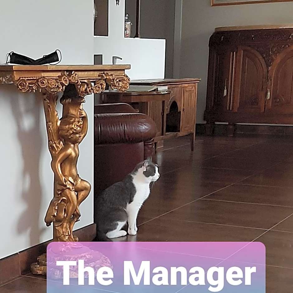 B&B La Fenice sul Lago