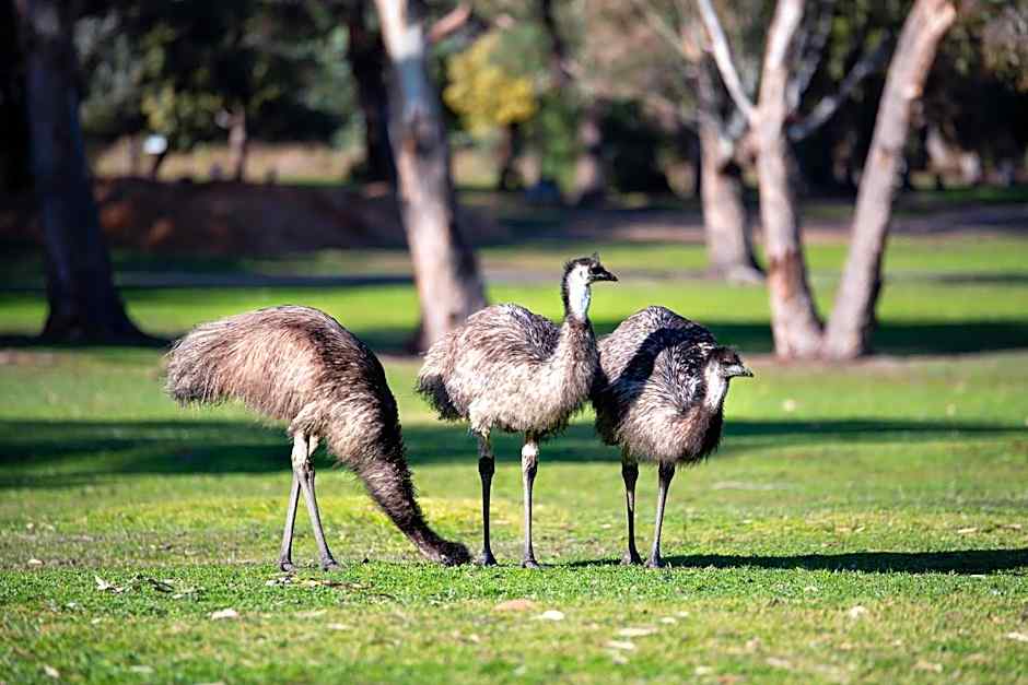 Breeze Holiday Parks - Grampians