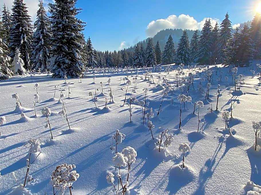 Dans hameau, près des pistes logement de plein pied au calme