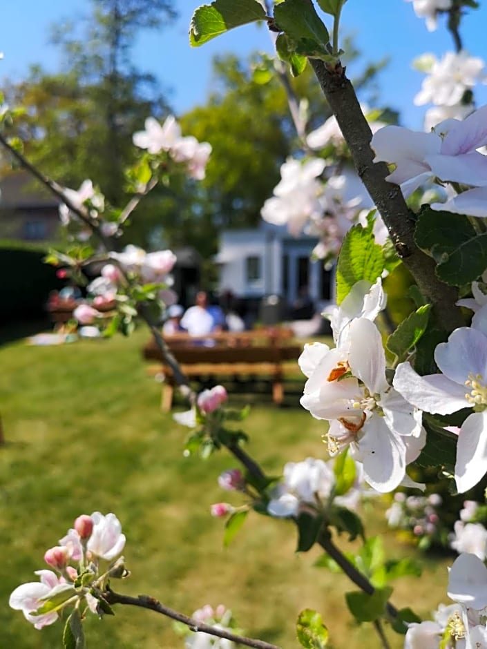 B&B de Koffietuin