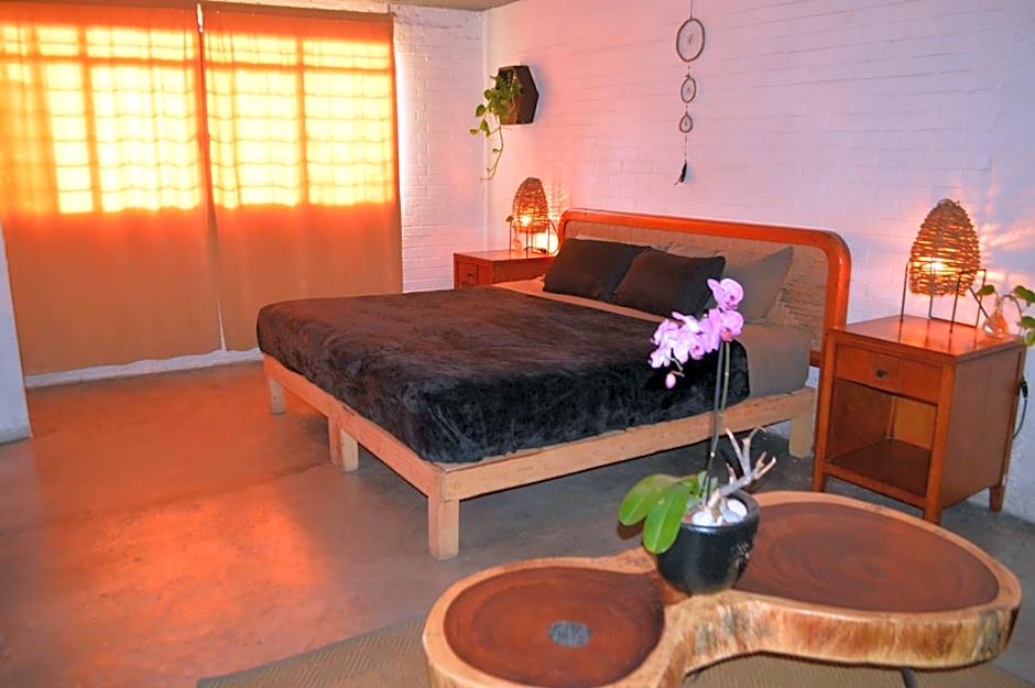 Canova Hostel & Pizza