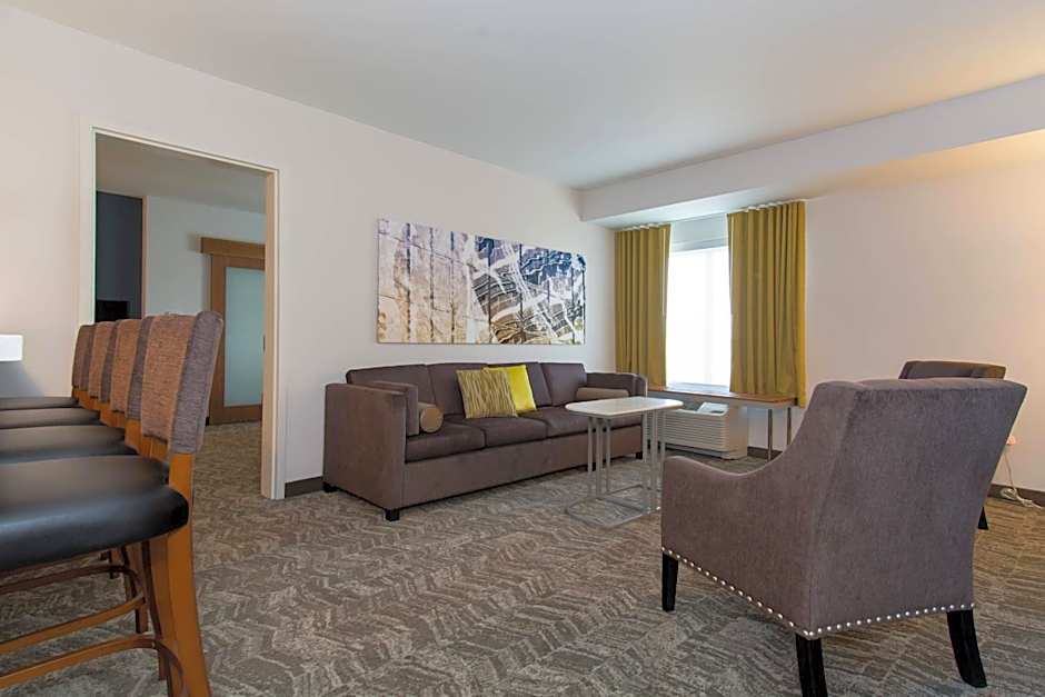 SpringHill Suites by Marriott Charlotte Ballantyne