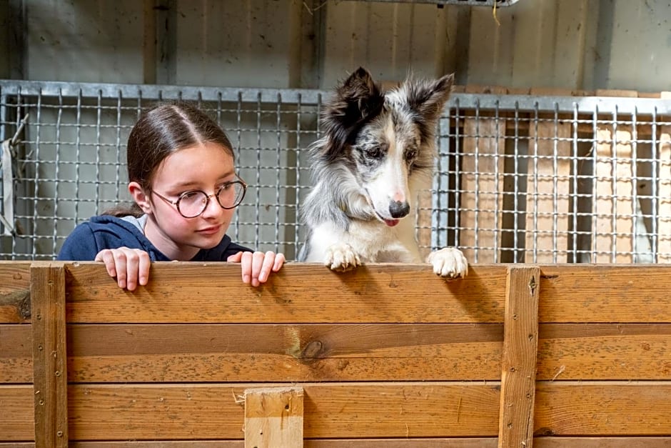 Logements insolites à la ferme - Yourte, Kota ou Pod
