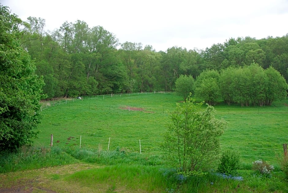 Hotel am Steinertsee