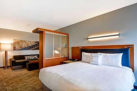 King Suite with Sofa Bed