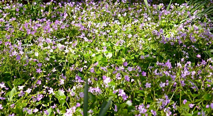 Craigadam Country House Hotel Castle Douglas