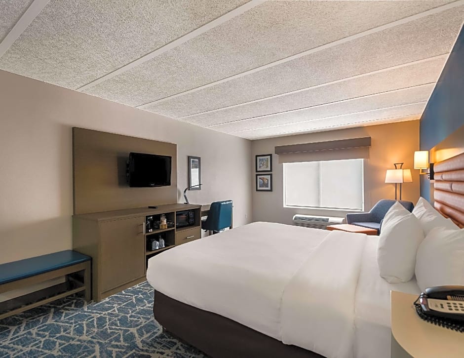 Photo 1 of 16 of 1 King Bed Suite