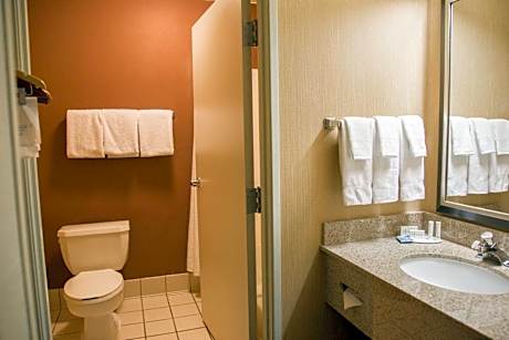 Double Room with Two Double Beds