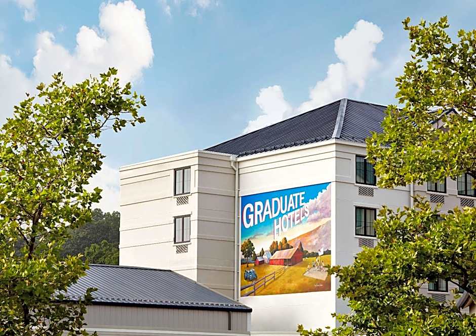 Graduate by Hilton Storrs