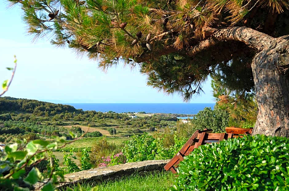Ada Bacchus Hotel