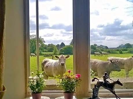 Battens Farm Cottages B&B