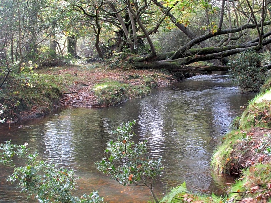 Albertine ,A warm welcome awaits you ,Offering room only or bed and breakfast ,Ideal location for Solent Way ,High Street ,Isle of Wight ,New Forest