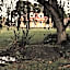 Amadiya Port Arthur Villas