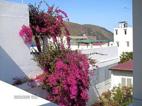 Hotel Villa Augustus
