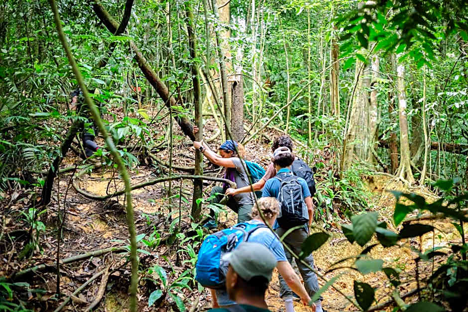 Green Travelodge Bukit Lawang
