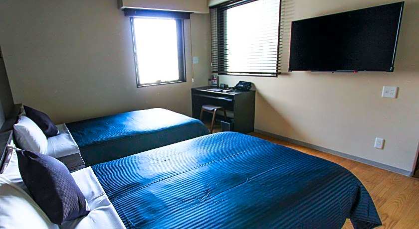 HOTEL LiVEMAX PREMIUM Himejieki-Minami