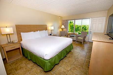 Poolside Room 1 King Bed