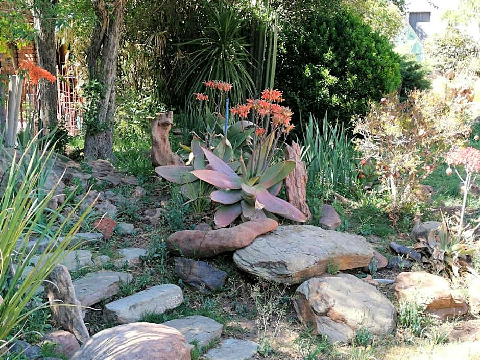 Lucolo Palace B&B Aliwal North