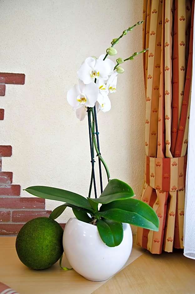 The Hotel - himmlisch wohlfühlen