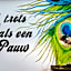 Hotel Pauw