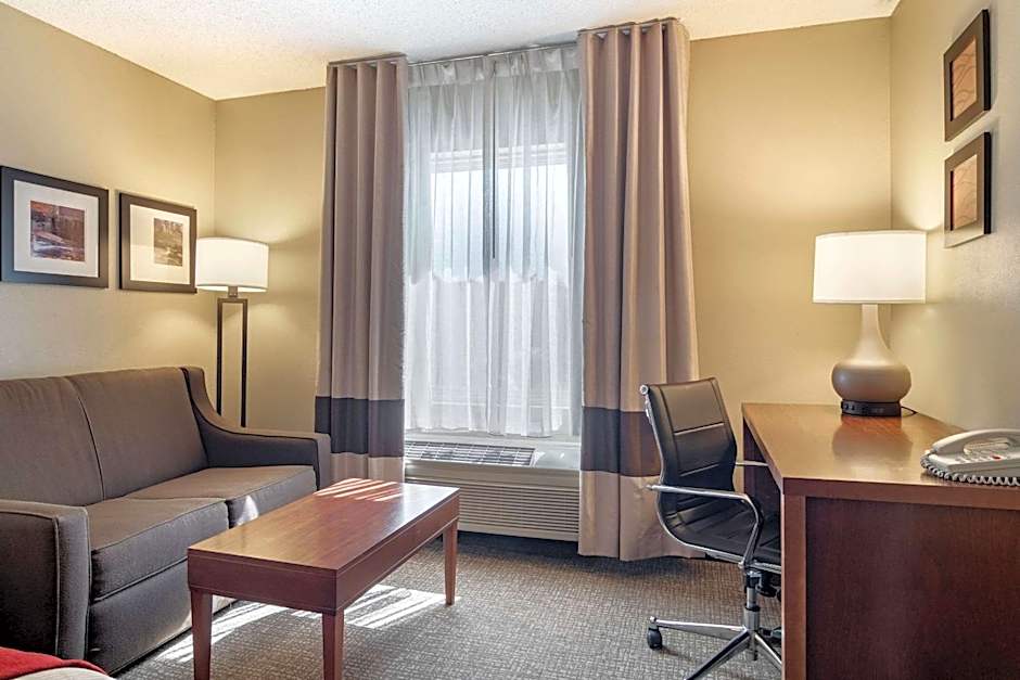 Comfort Inn & Suites Suwanee - Sugarloaf