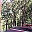 VIP Red Love house for 2