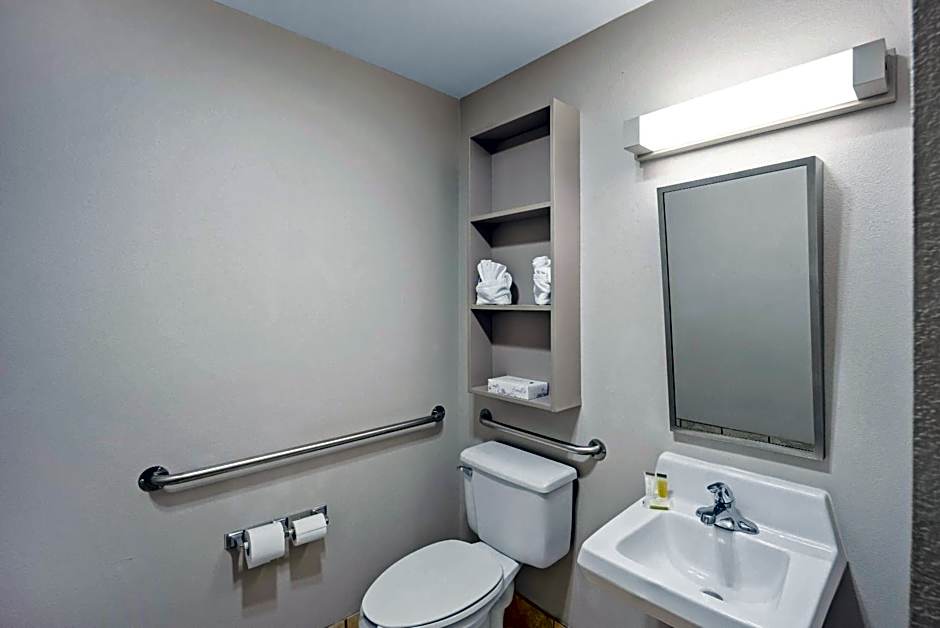 Microtel Inn & Suites by Wyndham Greensboro