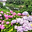 Toyoko Inn Shiki eki Higashi guchi