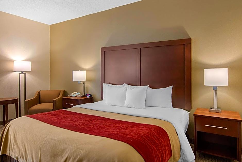 Comfort Inn Chester - Richmond South