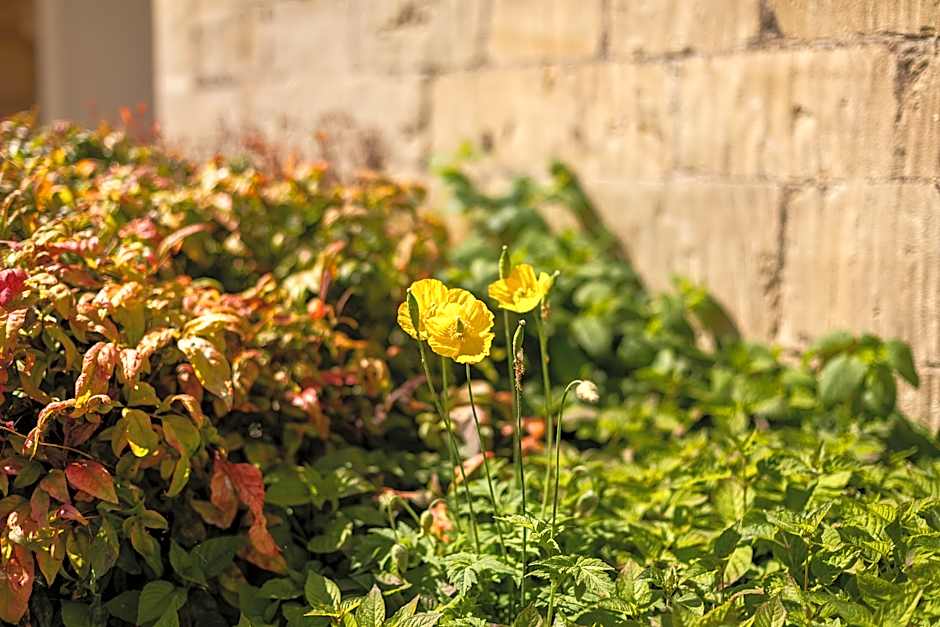 St Catherine's Hospital, Bath