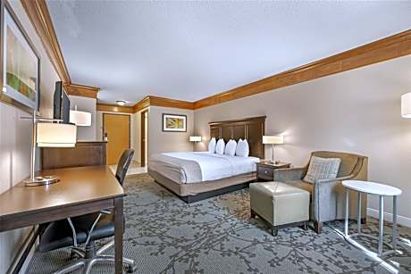 King Room - Non-Smoking