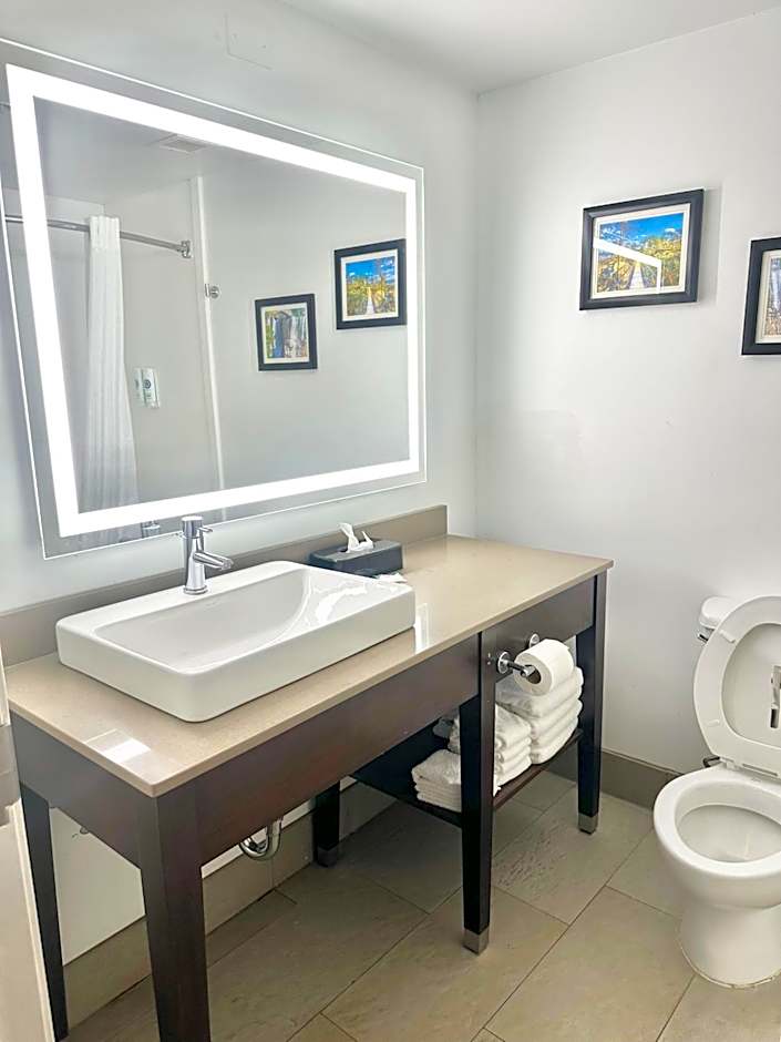 Comfort Inn & Suites Calhoun South