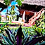 Tropinest bungalows & hostel