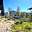 Goldiger Hirsch Pension mit Gemeinschaftsküche