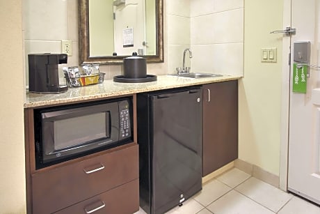 1 King Studio Suite Shower Only W/Sofabed Ns