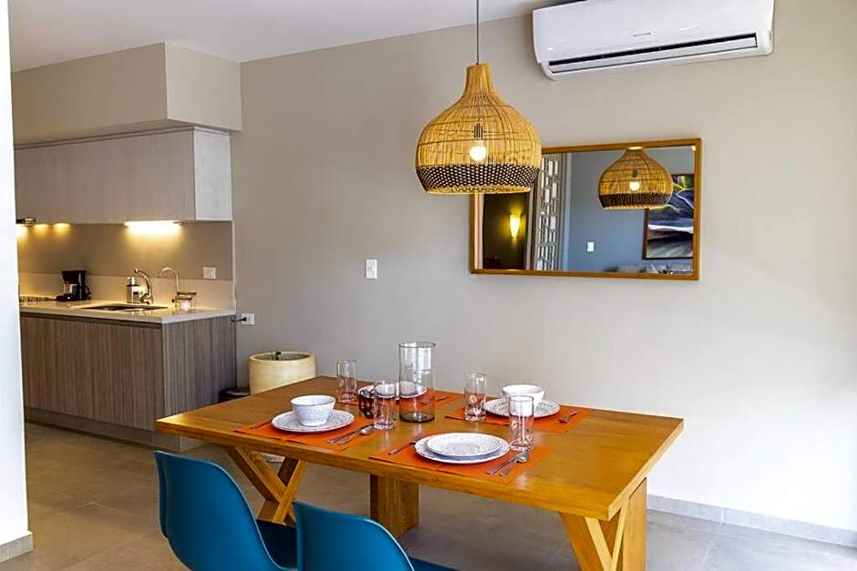 Solea 101
