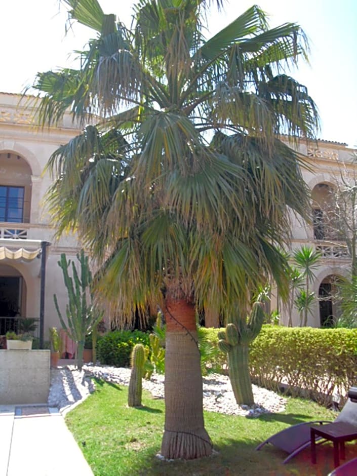 Palacio Sant Salvador