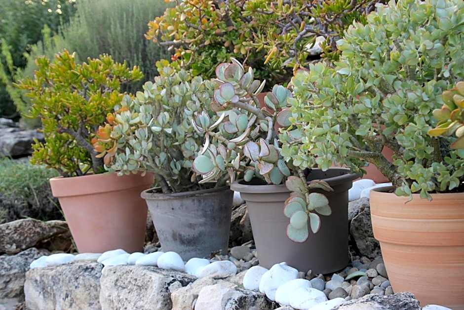 Le Hameau Fleur de Pierres , Chambre , Gite et Table d'Hôtes