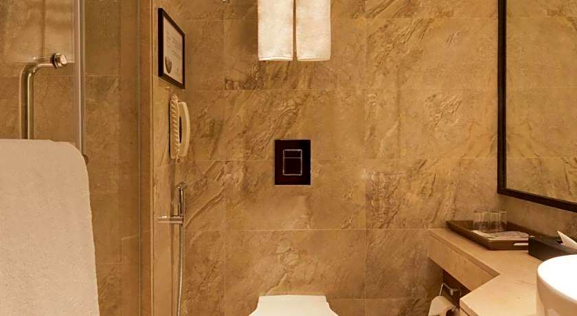 Lemon Tree Premier City Center Pune