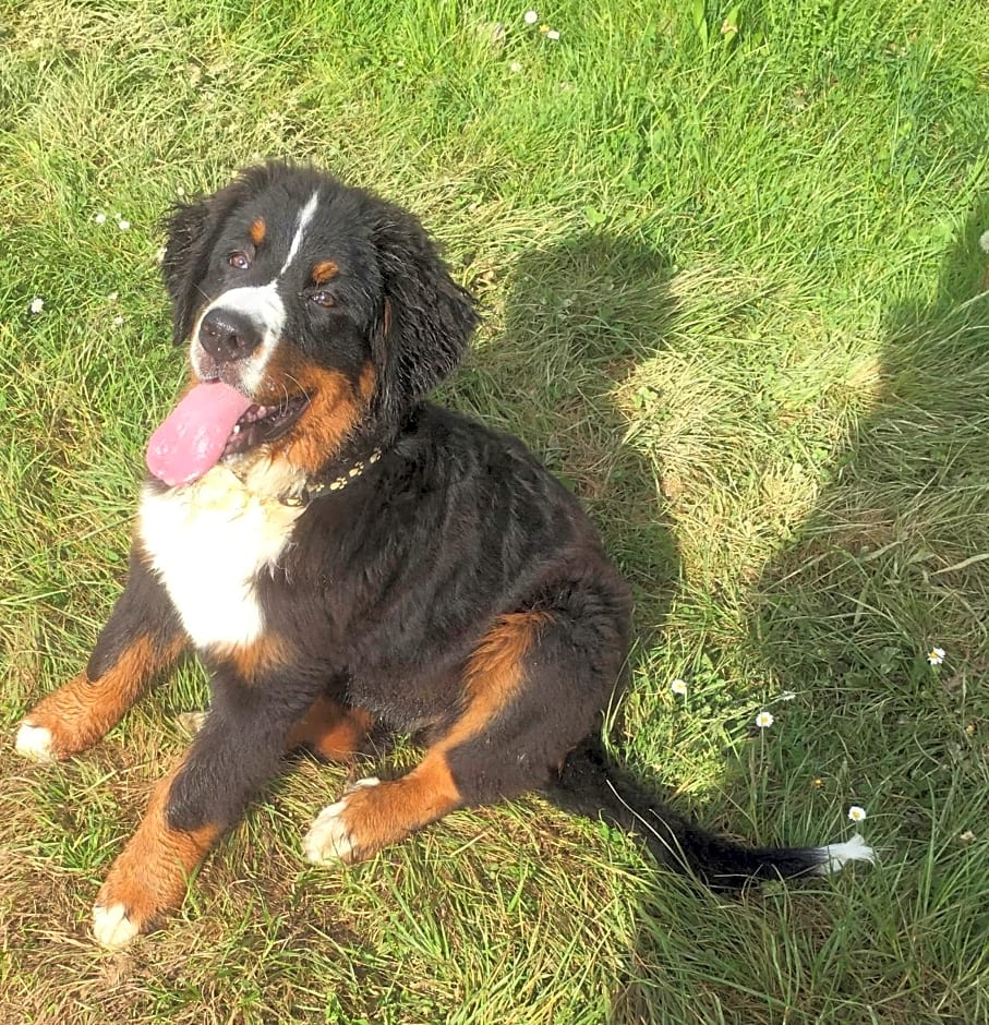 Domaine du Val de Soux